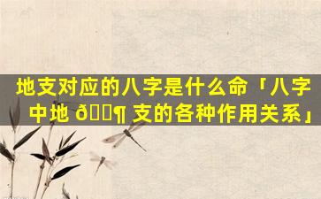 地支对应的八字是什么命「八字中地 🐶 支的各种作用关系」